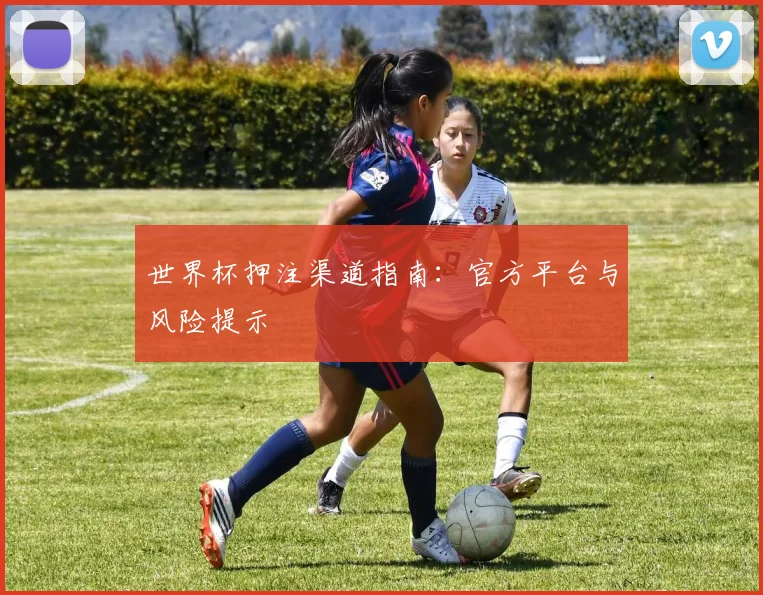 世界杯押注渠道指南：官方平台与风险提示