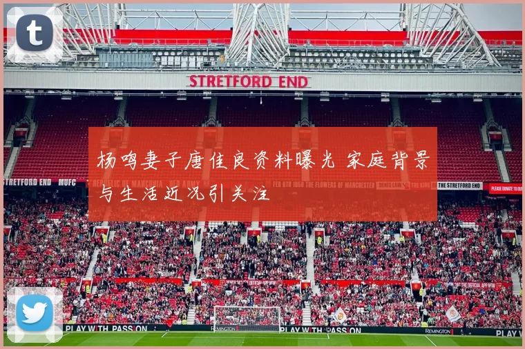 杨鸣妻子唐佳良资料曝光 家庭背景与生活近况引关注