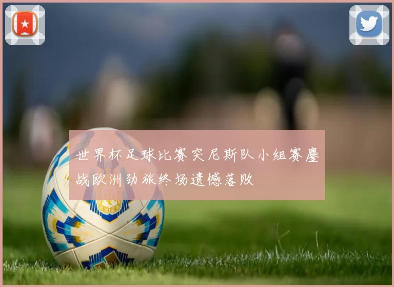 世界杯足球比赛突尼斯队小组赛鏖战欧洲劲旅终场遗憾落败