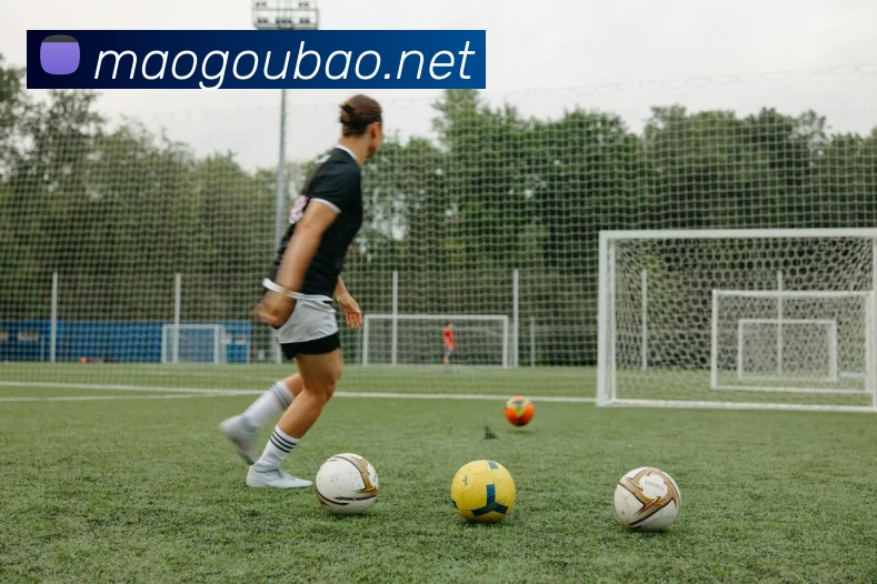 多媒体互动体验